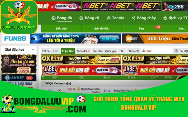 Giới thiệu tổng quan về trang web bongdalu vip