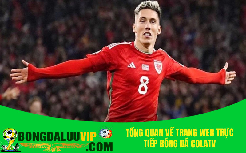 Tổng quan về trang web trực tiếp bóng đá Colatv