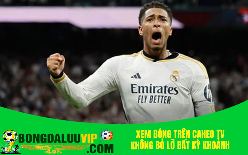 Xem bóng trên Caheo TV không bỏ lỡ bất kỳ khoảnh khắc nào